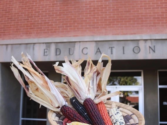 corn again